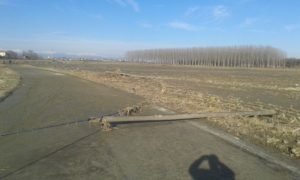 20161127_143001-300x180 Sole dopo l'alluvione: sul terreno segni che resteranno a lungo