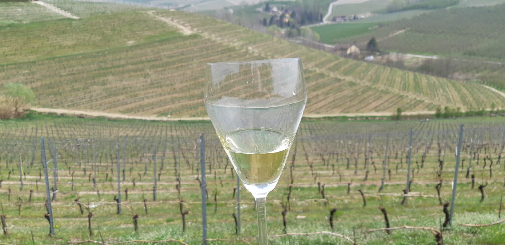 alta-langa-docg-bicchiere1-1024x498 Cerca e cavatura del tartufo diventano patrimonio Unesco. Anche l’Alta Langa Docg scende in campo