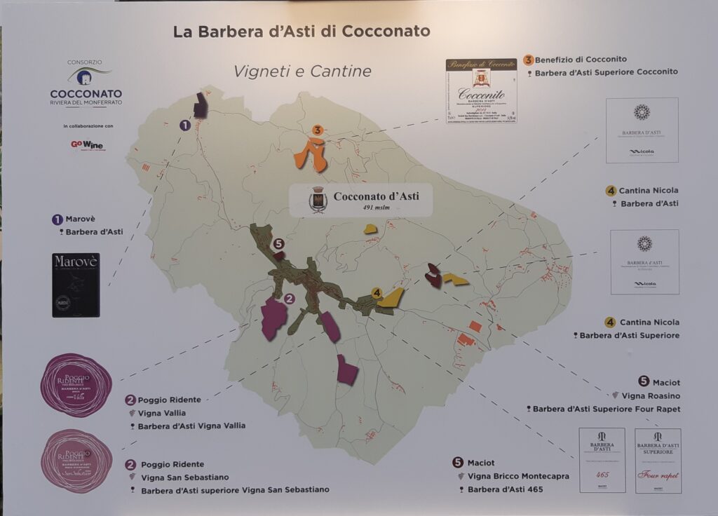 cartina-1024x736 Barbera d’Asti di Cocconato, una degustazione en primeur