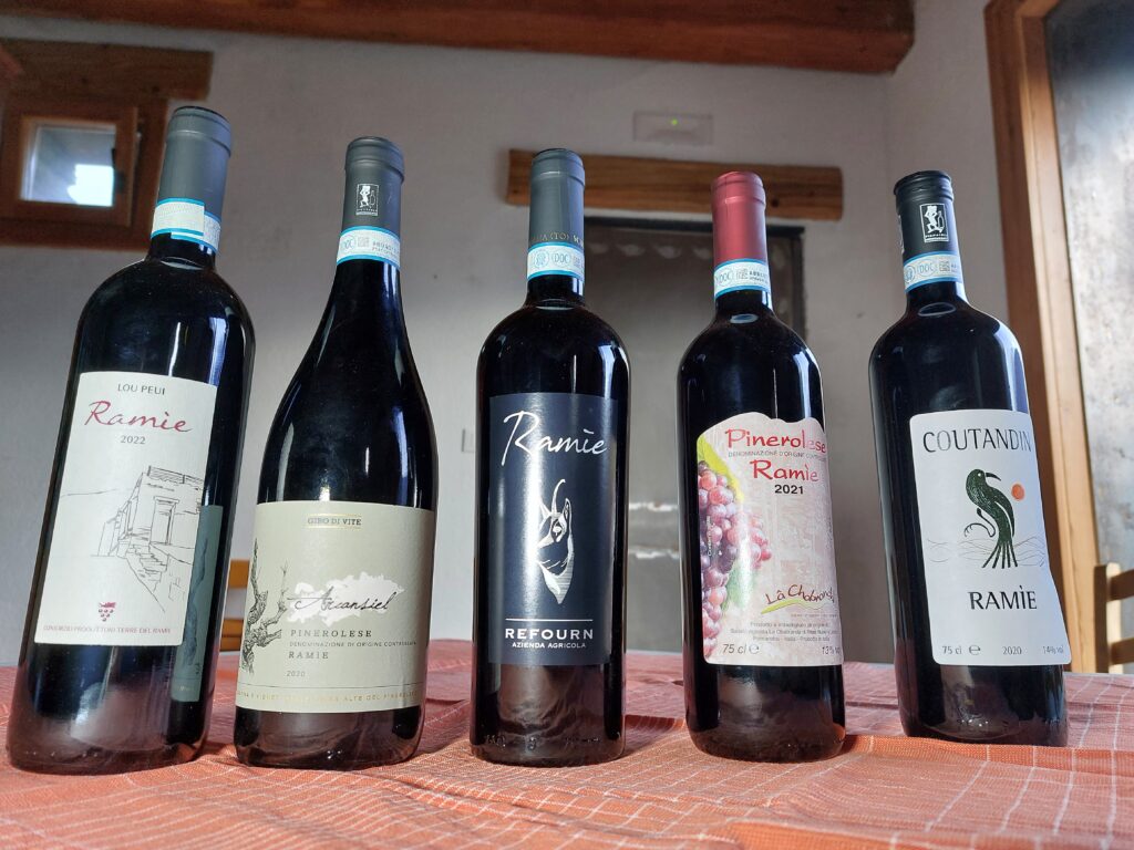 Ramie-bottiglie2-1024x768 Viticultura eroica e cambiamento climatico, la bella favola del Ramìe