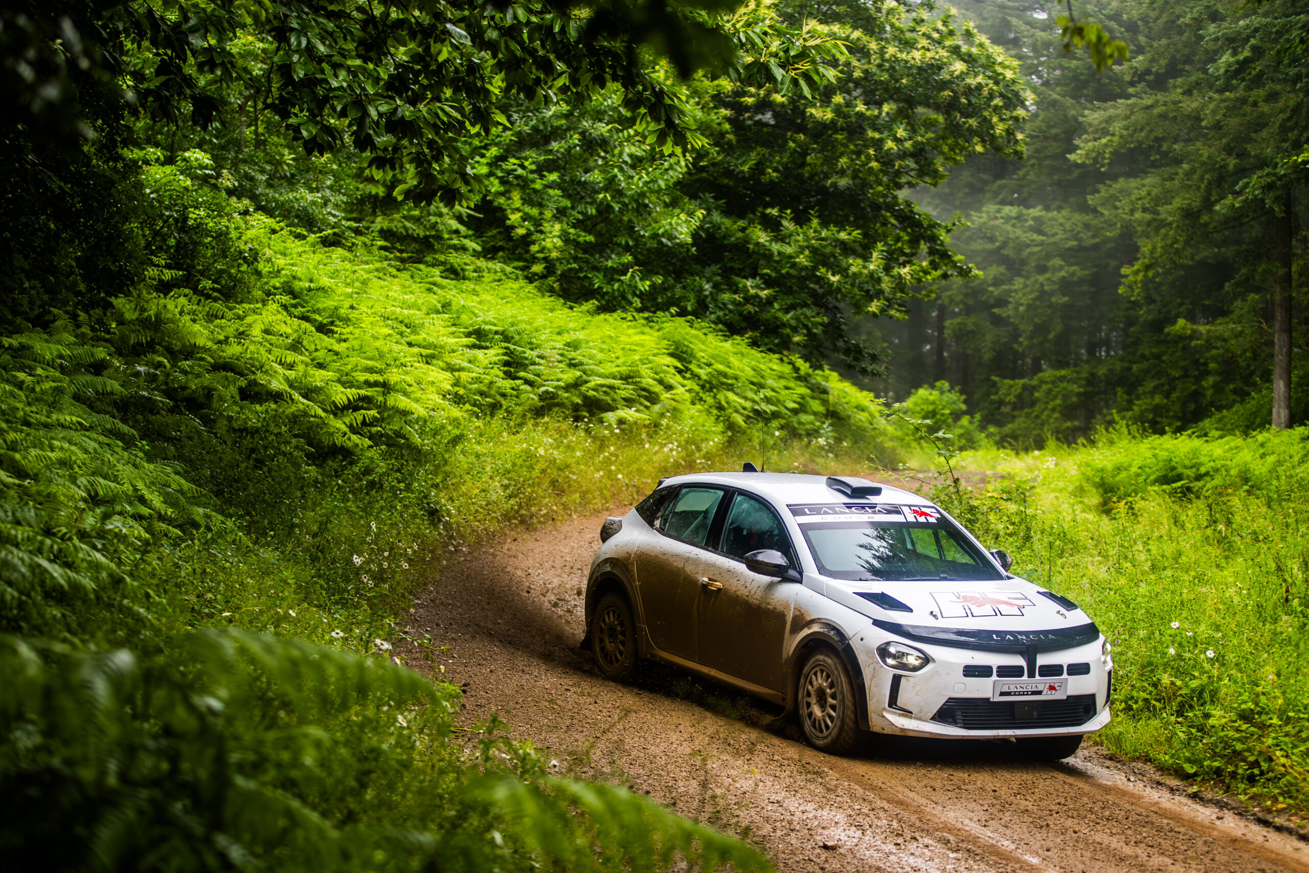 Ypsilon Rally 2