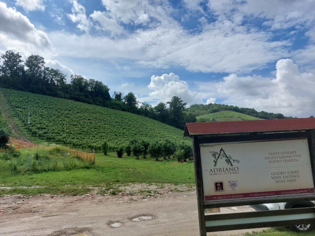 Adriano-cantina-1024x768 Quella vendemmia 2014 così bistrattata ma dai vini tanto sorprendenti