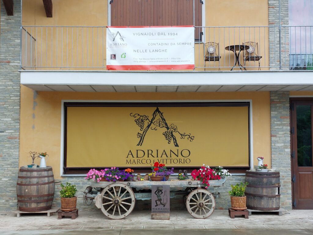 image Quella vendemmia 2014 così bistrattata ma dai vini tanto sorprendenti