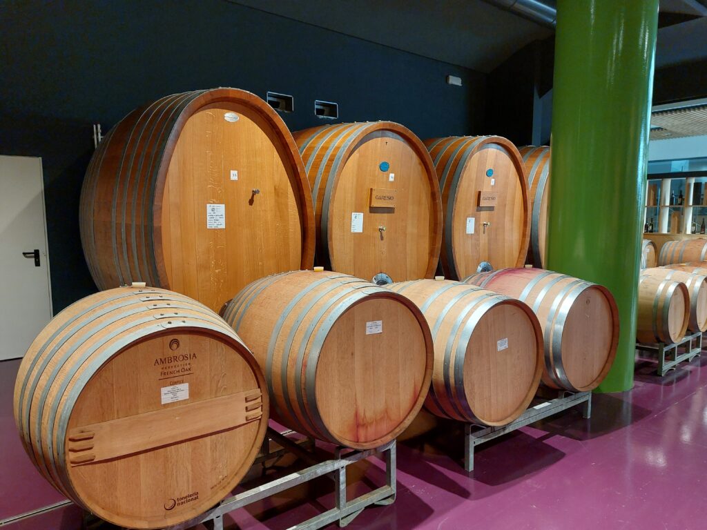 cantina5-1024x768 Vini eleganti e un Wine Resort di charme tra le vigne di Serralunga