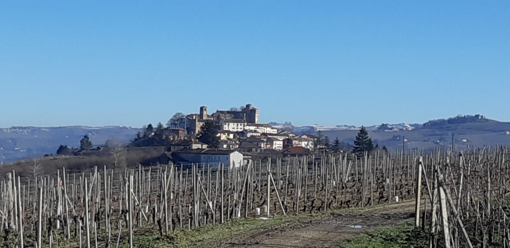 castello-di-roddi-1024x498 Al Castello di Roddi una giornata con Io, Barolo