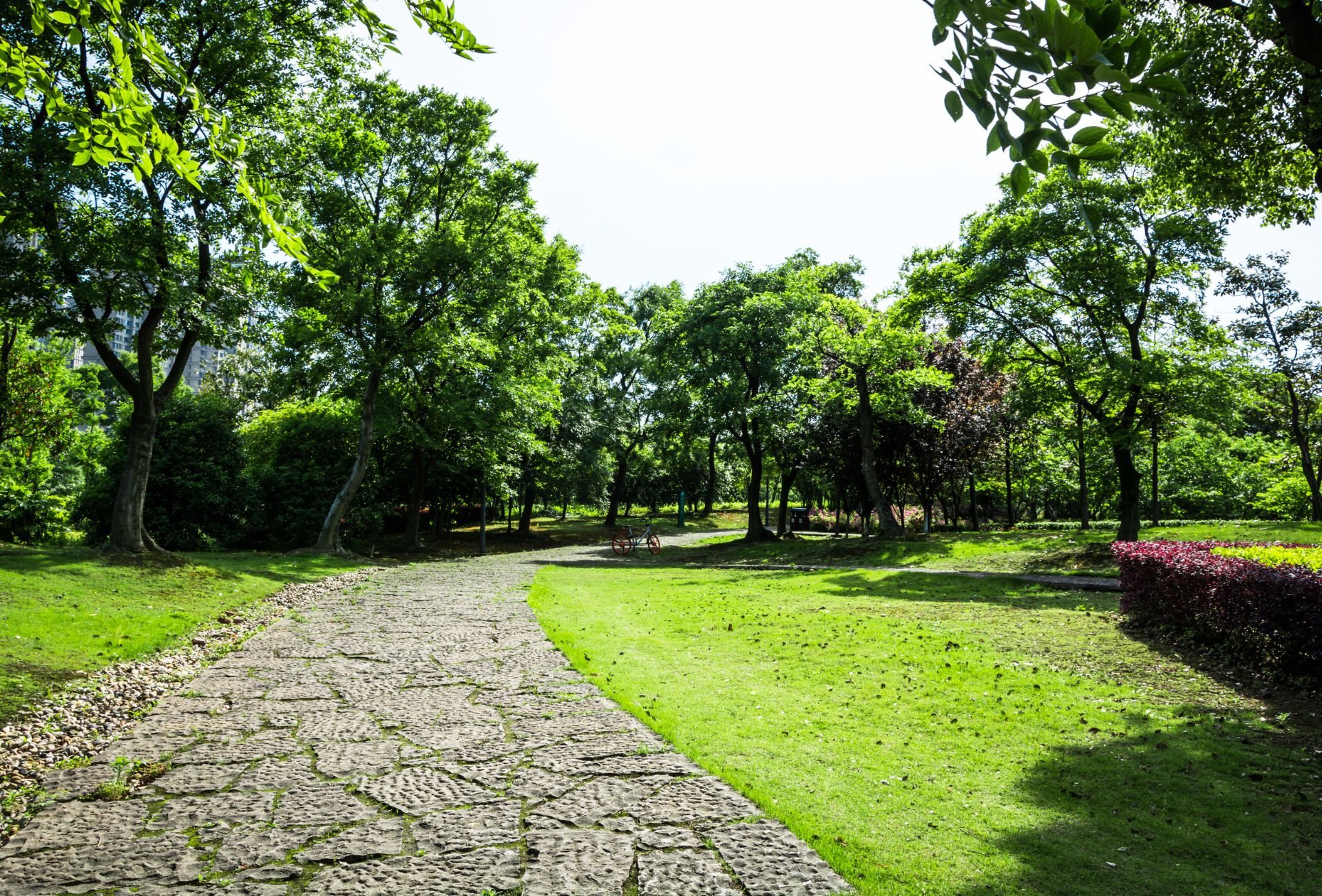 Parco Laghetti Falchera