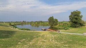 Parco-Laghetti-Falchera_foto-3-300x169-1 Storie di Quartiere: Parco Laghetti Falchera, una riqualificazione continua