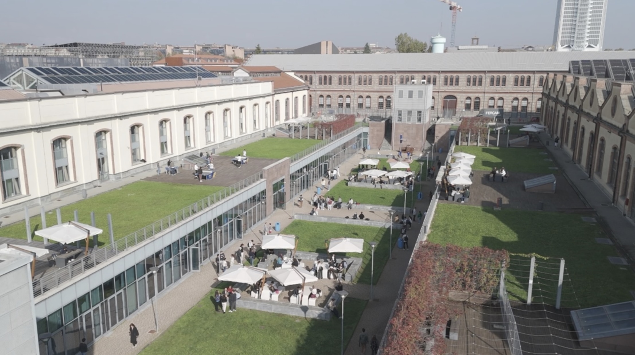 DETTAGLI ALLEGATO Campus-grapes-Polito