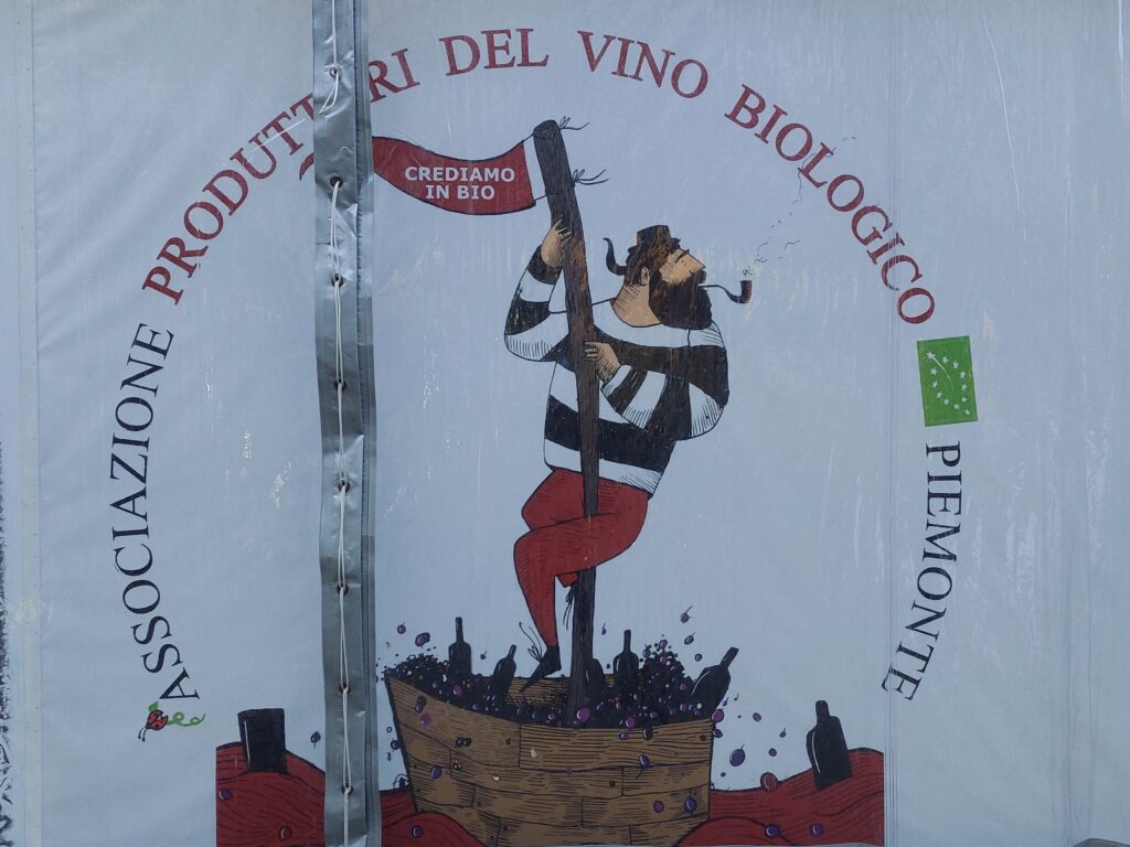 produttori-vino-biologico3-1024x768 Cinque Vini Bio da provare e una convinzione: «L’agricoltore ha capito quanto è importante la fertilità della terra»
