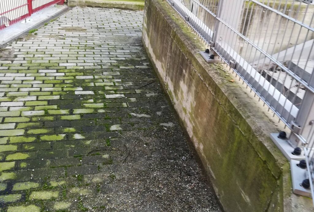 degrado_stadio_filadelfia-2-1024x694 Degrado Stadio Filadelfia: la situazione