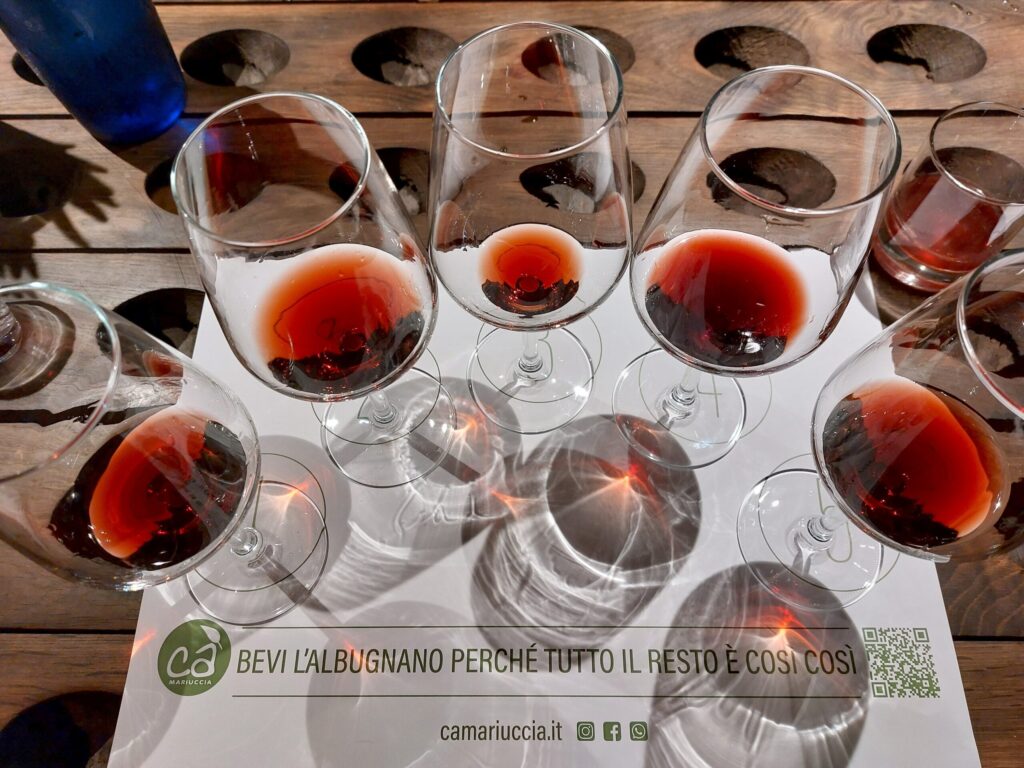 20260410_182843-1024x768 Nebbiolo del Monferrato e cucina agricola, alla scoperta di Albugnano e Ca’ Mariuccia