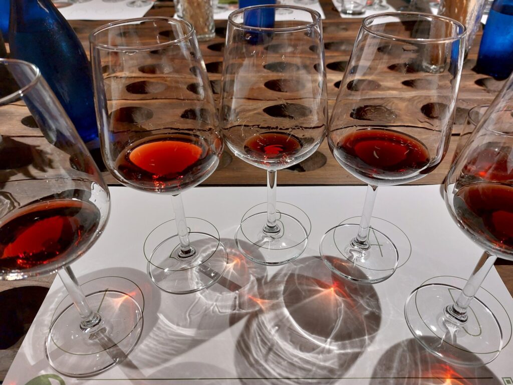 20260410_182850-1024x768 Nebbiolo del Monferrato e cucina agricola, alla scoperta di Albugnano e Ca’ Mariuccia