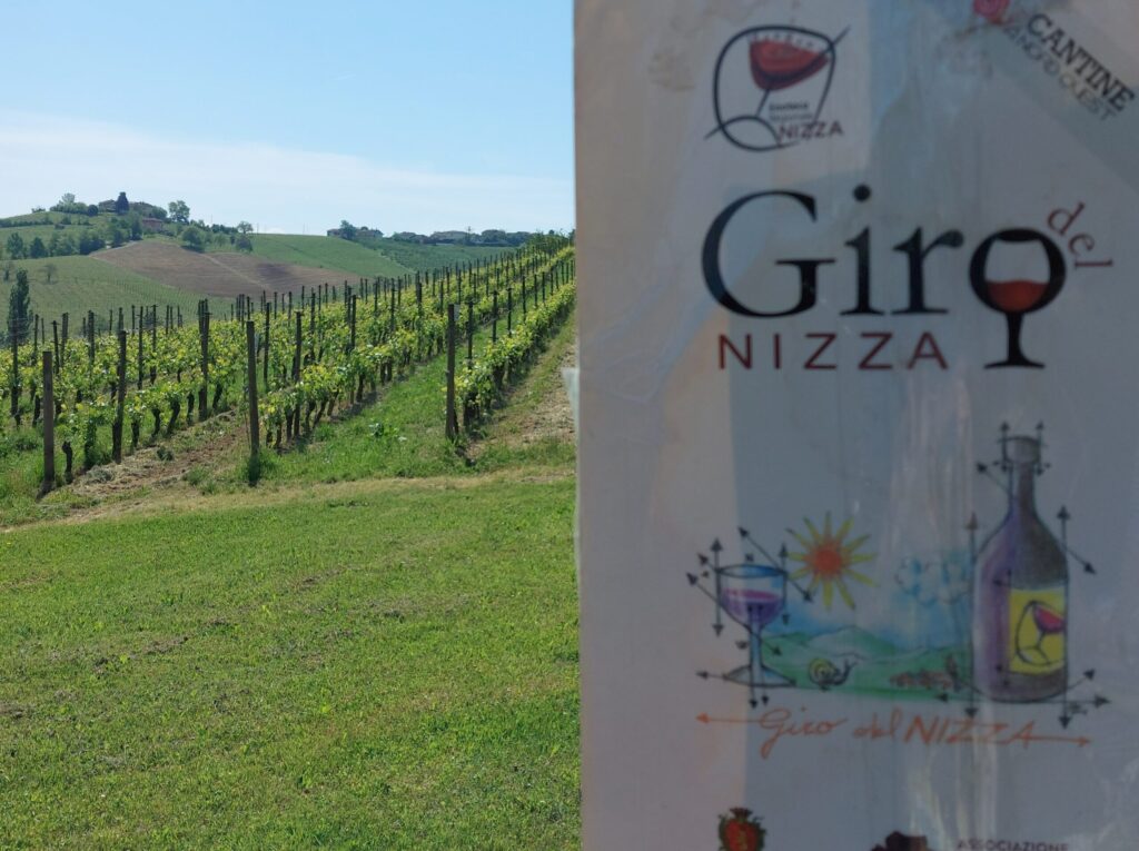 20260426_113137-1024x765 A Nizza Monferrato la primavera parla il linguaggio del vino