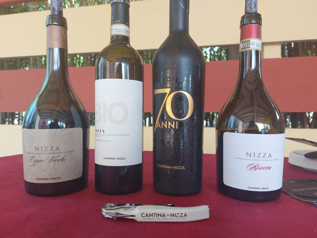 20260426_160656-1024x768 A Nizza Monferrato la primavera parla il linguaggio del vino