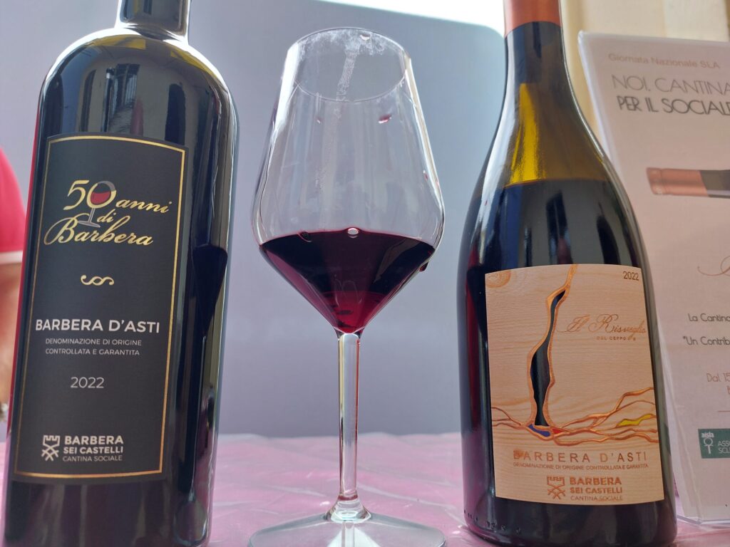 Le-due-Barbera-sei-castelli-1024x768 A Nizza Monferrato la primavera parla il linguaggio del vino
