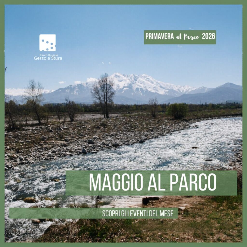Maggio-al-Parco-1024x1024 Maggio nel Parco: natura, benessere e meraviglia lungo il Gesso e Stura