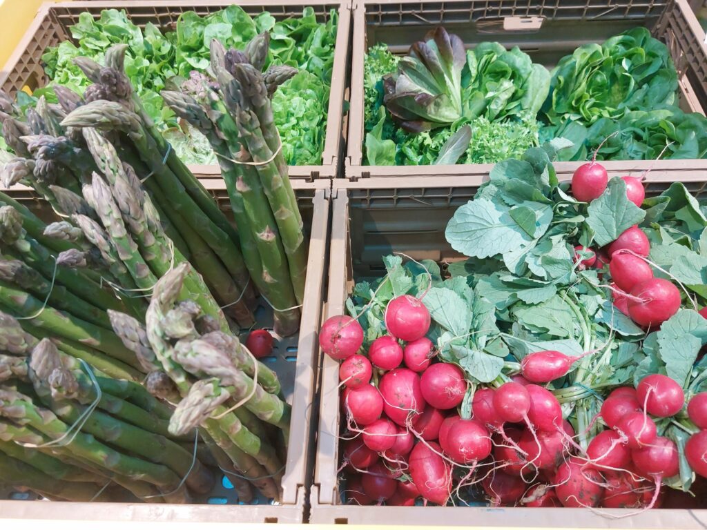 verdura1-1024x768 Spesa, street food e cucina contadina al Mercato del Corso