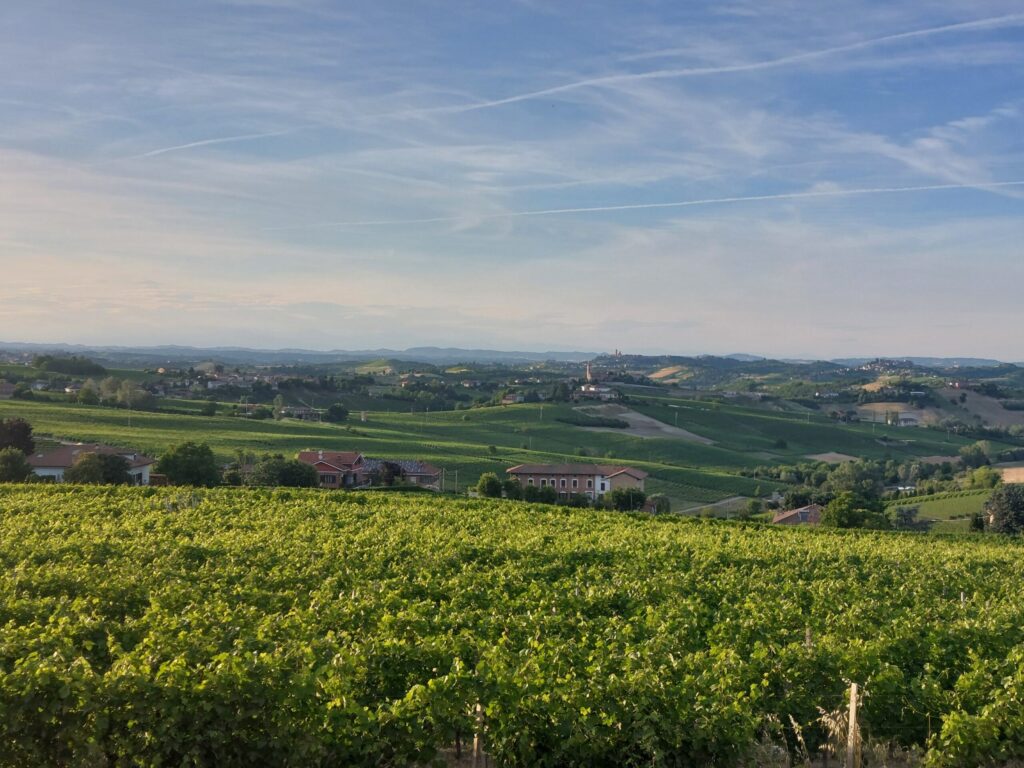 Gozzelino-paesaggio-1024x768 Cena in vigna a Bricco Lù, terra di Grignolino, Barbera e Moscato d’Asti